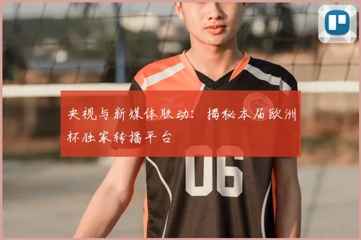 央视与新媒体联动：揭秘本届欧洲杯独家转播平台