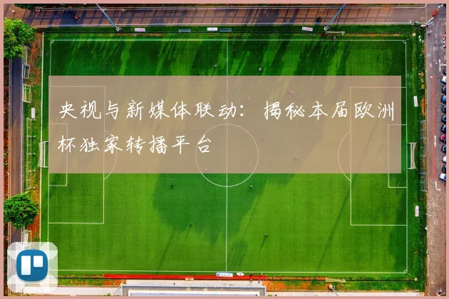 央视与新媒体联动：揭秘本届欧洲杯独家转播平台